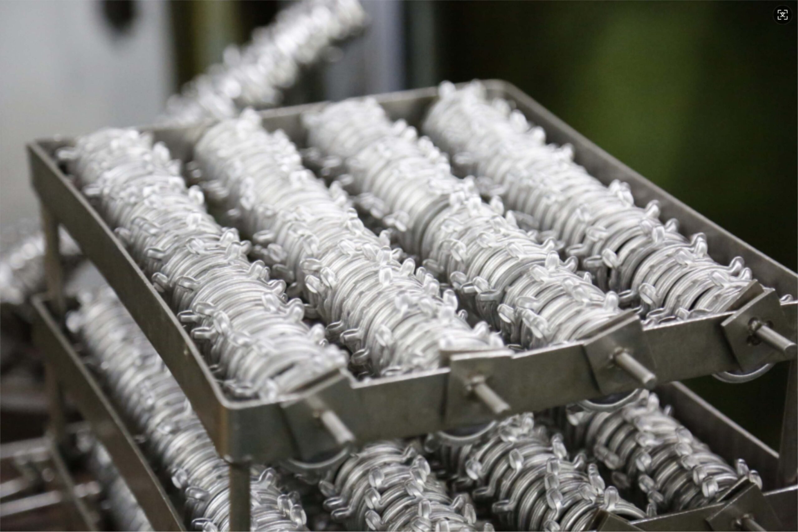 Watch Collection Display