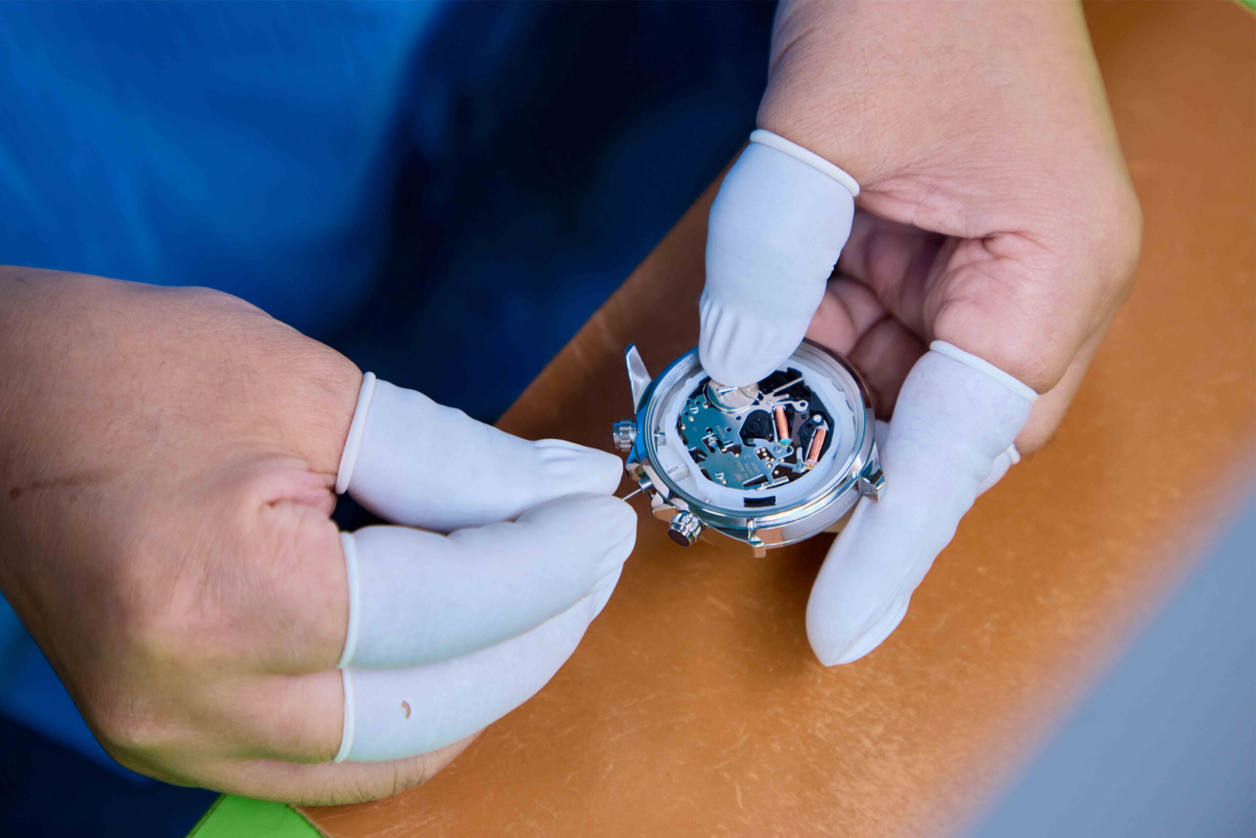 Swiss technique training session